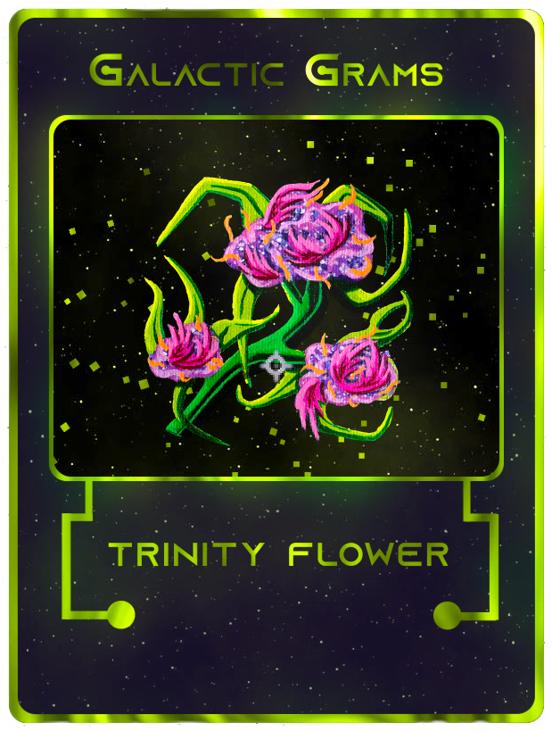 Trinity Flower Vibes